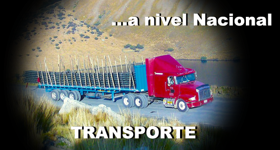 Transporte